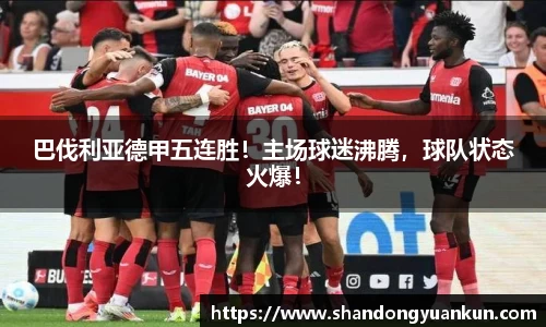 k1体育网页版