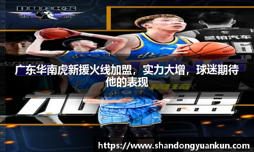 k1体育APP