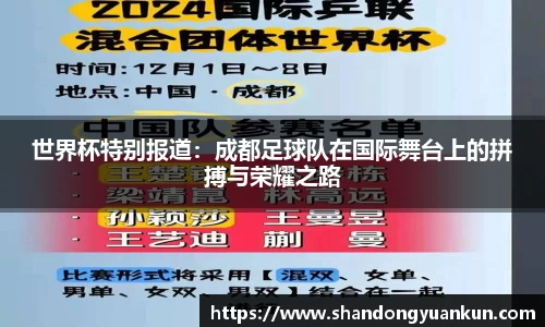 世界杯特别报道：成都足球队在国际舞台上的拼搏与荣耀之路