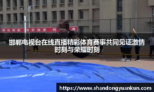邯郸电视台在线直播精彩体育赛事共同见证激情时刻与荣耀时刻