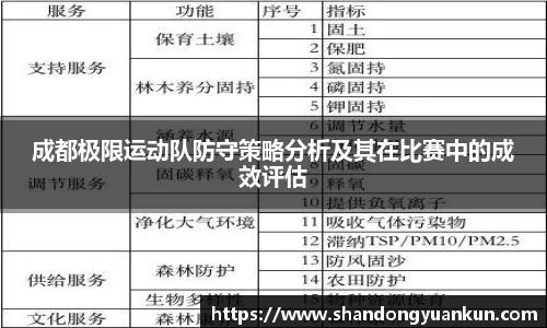 成都极限运动队防守策略分析及其在比赛中的成效评估