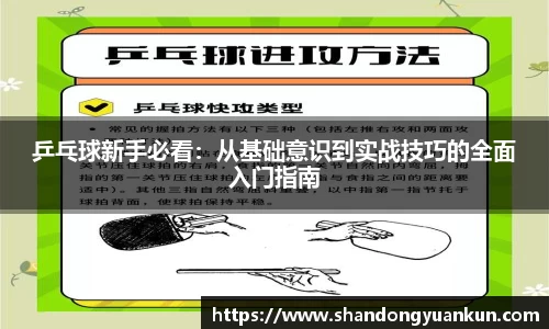 乒乓球新手必看：从基础意识到实战技巧的全面入门指南