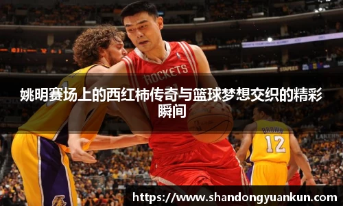 姚明赛场上的西红柿传奇与篮球梦想交织的精彩瞬间