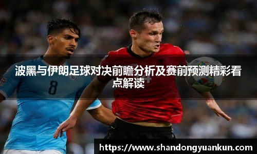 波黑与伊朗足球对决前瞻分析及赛前预测精彩看点解读