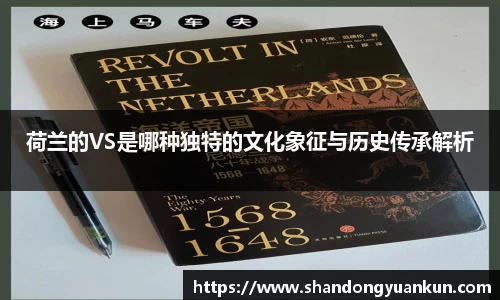 荷兰的VS是哪种独特的文化象征与历史传承解析