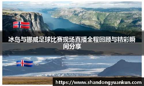 冰岛与挪威足球比赛现场直播全程回顾与精彩瞬间分享