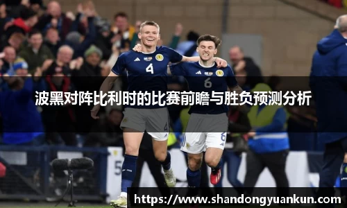 波黑对阵比利时的比赛前瞻与胜负预测分析