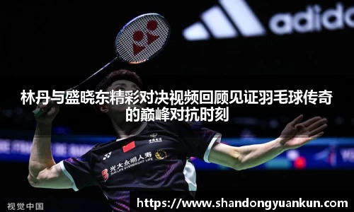 林丹与盛晓东精彩对决视频回顾见证羽毛球传奇的巅峰对抗时刻