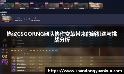 热议CSGORNG团队协作变革带来的新机遇与挑战分析